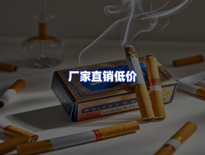 专业团队